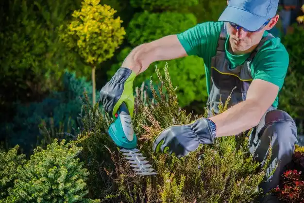 landscaping services Rothbury